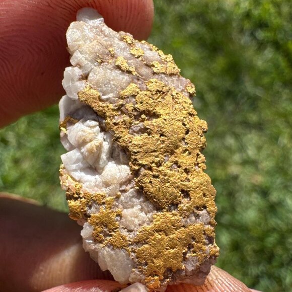 VERY RICH Gold in Quartz Specimen- California - 10.8 grams - Picture 5 of 12